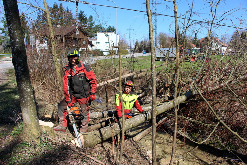 Hoferbach RODUNGEN Hochwasserschutz April 2019 _2_.JPG