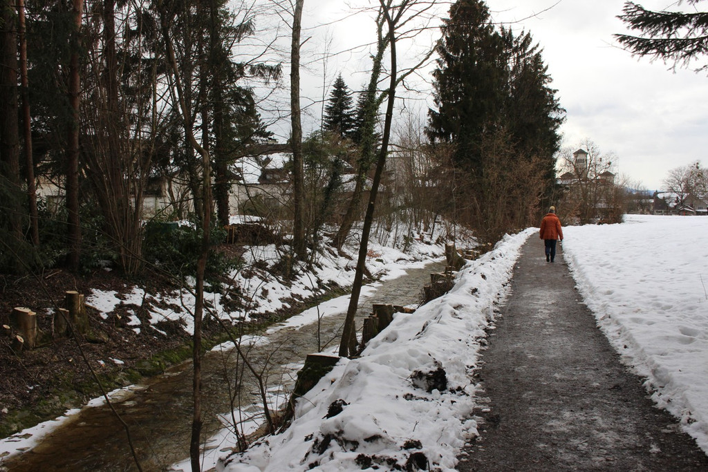 Ruggbach RODUNG Hochwasserschutz 30-01-2019 _25_.JPG