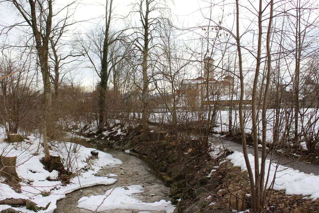 Ruggbach RODUNG Hochwasserschutz 30-01-2019 _18_.JPG