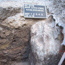 ABD0004-20190510.jpg