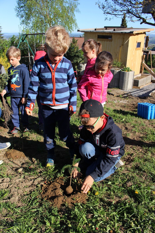 Lochau Zu__ner Christbaumpflanzung KinderHaus Dorf Mai 2019 _7_.JPG
