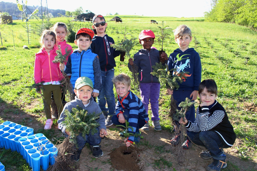 Lochau Zu__ner Christbaumpflanzung KinderHaus Dorf Mai 2019 _2_.JPG