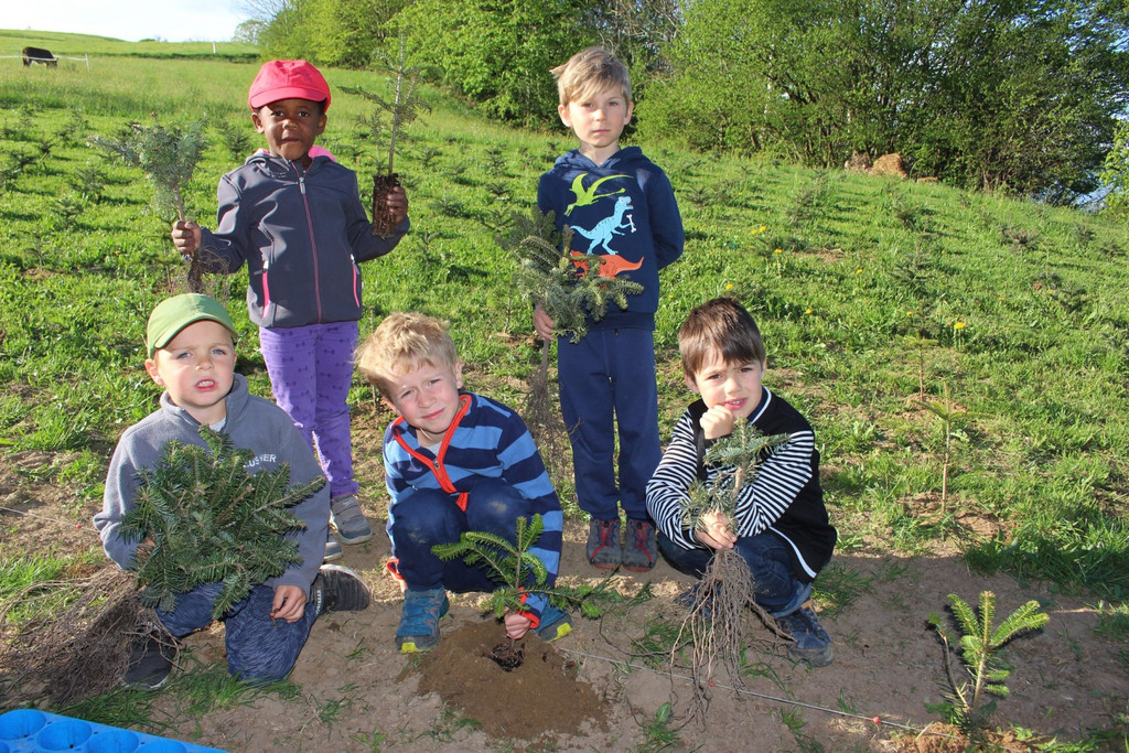 Lochau Zu__ner Christbaumpflanzung KinderHaus Dorf Mai 2019 _3_.JPG
