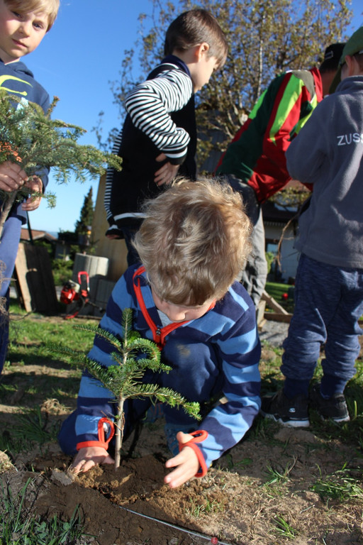 Lochau Zu__ner Christbaumpflanzung KinderHaus Dorf Mai 2019 _4_.JPG