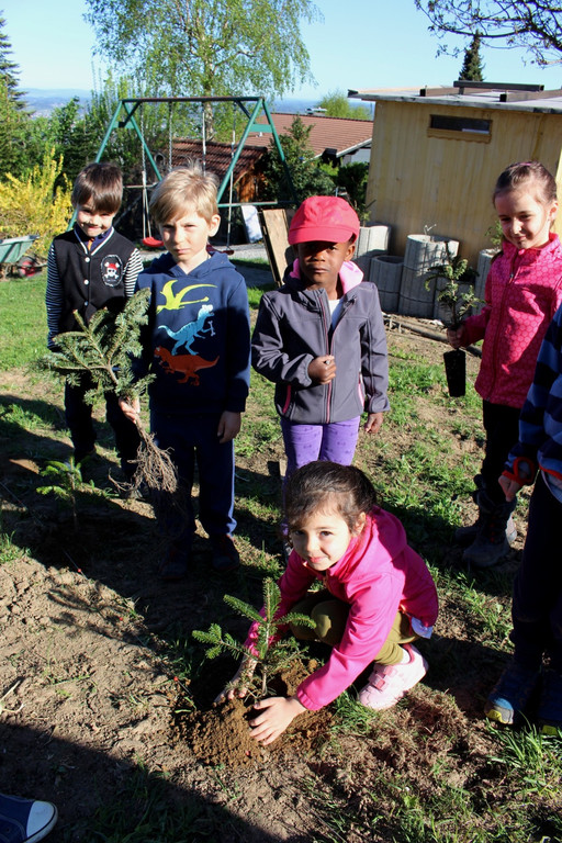 Lochau Zu__ner Christbaumpflanzung KinderHaus Dorf Mai 2019 _6_.JPG