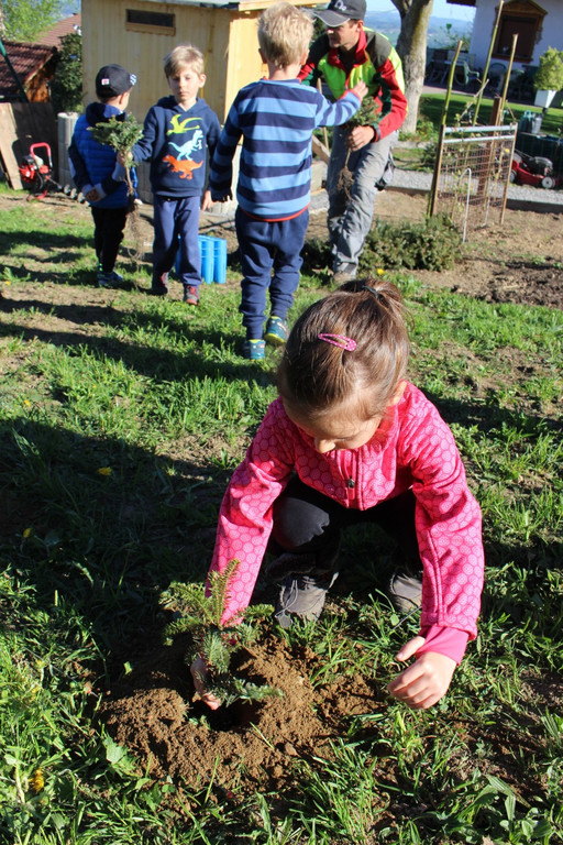 Lochau Zu__ner Christbaumpflanzung KinderHaus Dorf Mai 2019 _8_.JPG