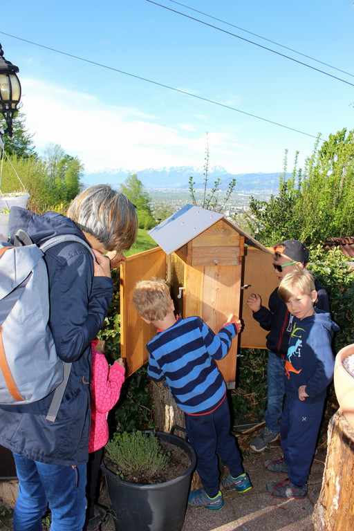 Lochau Zu__ner Christbaumpflanzung KinderHaus Dorf Mai 2019 _14_.JPG