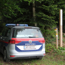 Holzunfall in Hohenweiler