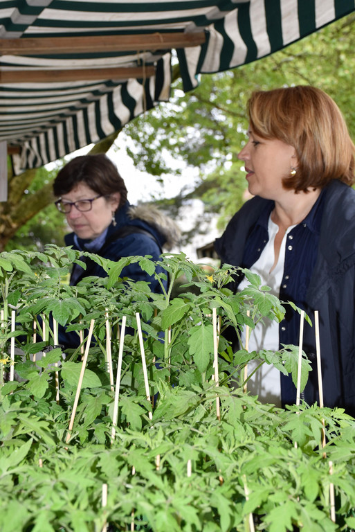 Andrea Kaufmann beim Pflanzenkauf.JPG