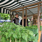 B__uerliches Schul- und Bildungszentrum f__r Vorarlberg mit Bio-Jungpflanzen.JPG