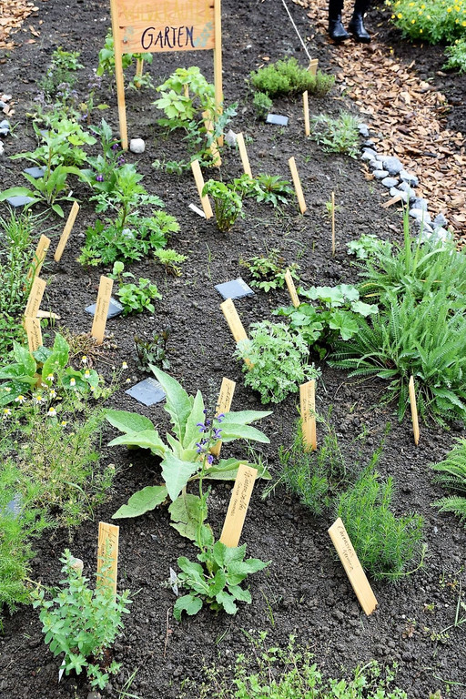 Wildkr__utergarten.JPG