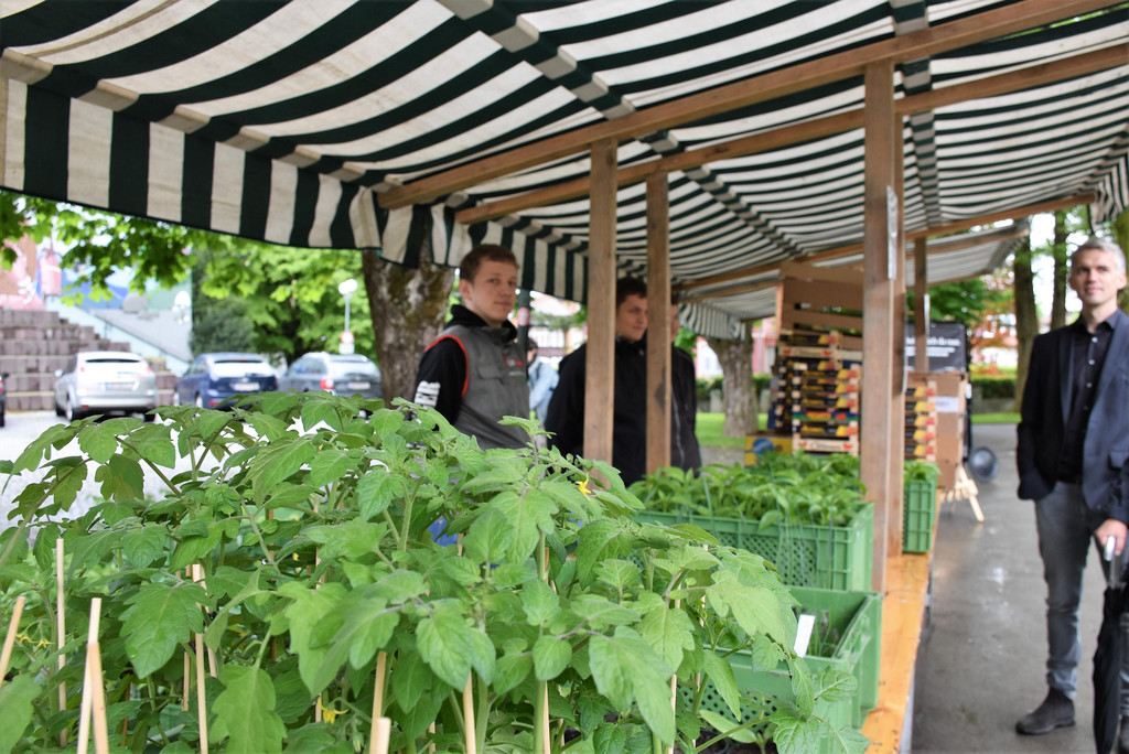 B__uerliches Schul- und Bildungszentrum f__r Vorarlberg mit Bio-Jungpflanzen.JPG