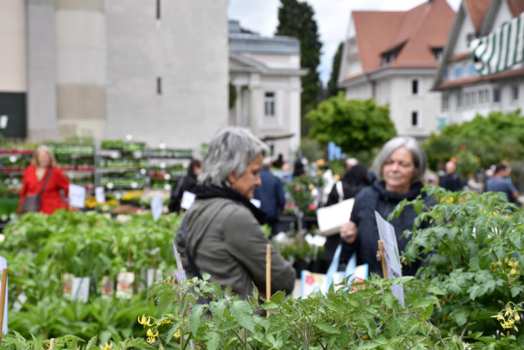 Gartentag Dornbirn.JPG