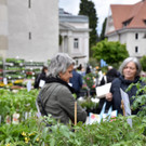 Gartentag Dornbirn.JPG