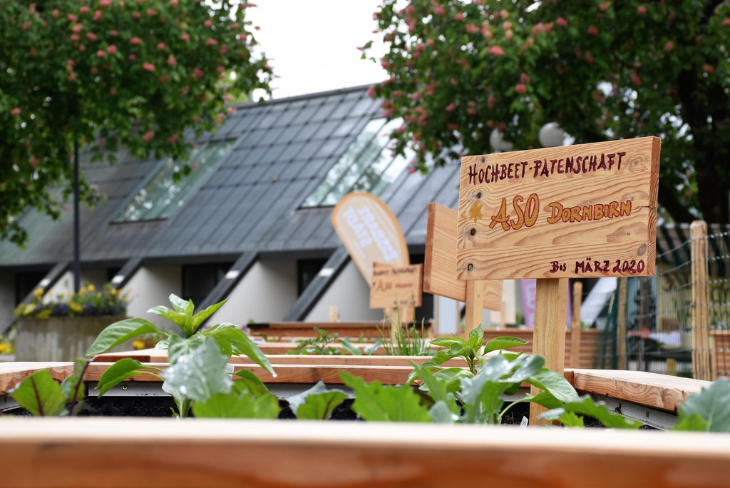 Hochbeet-Patschaften von Schulen und Kinderg__rten.JPG