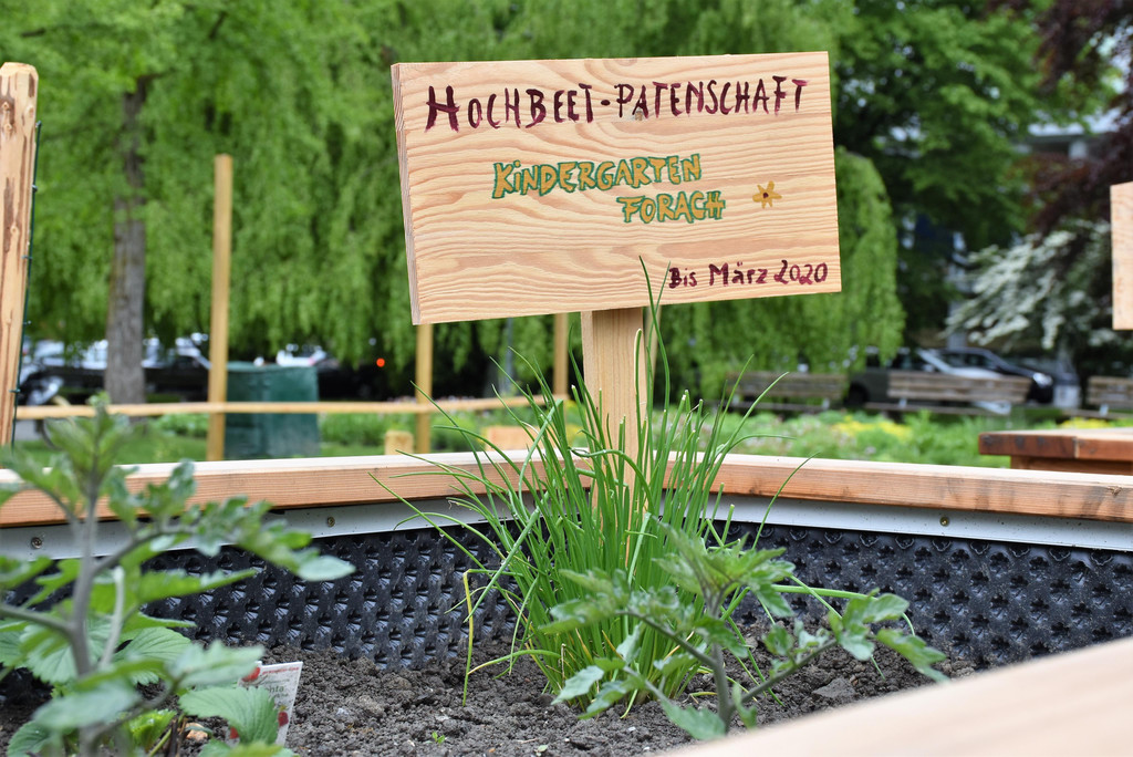 Hochbeet-Patschaften.JPG