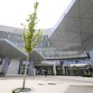 ABD0119-20190510.jpg