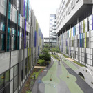 ABD0121-20190510.jpg