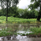 ABD0115-20190511.jpg