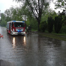 ABD0109-20190511.jpg