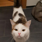 Mimi aus Rankweil