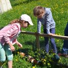 Hoffest Mottnerhof 2019 _172_.jpg