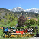 Hoffest Mottnerhof 2019 _234_.jpg