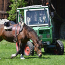 Hoffest Mottnerhof 2019 _306_.jpg