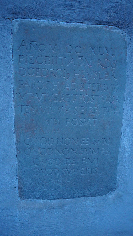 P5101007.JPG
