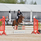 lm haflinger - Kopie.jpg