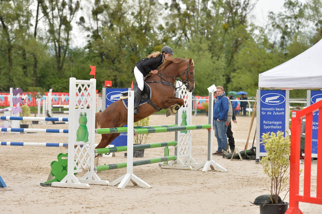 lm pony - Kopie.jpg