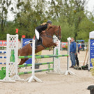 lm pony - Kopie.jpg