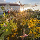 Schloss Hof_Barockgarten __ SKB_Lois Lammerhuber.jpg