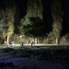 Nonnenhorner Toter 3 - Copyright Benjamin Liss.jpg