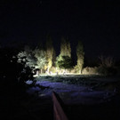 Nonnenhorner Toter - Copyright Benjamin Liss 1.jpg
