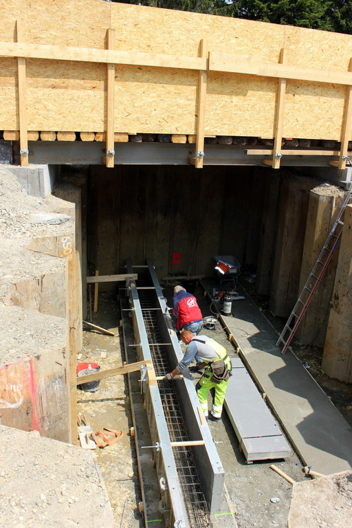 Hochwasserschutz am See B Oberlochauerbach START 16-05-2019 _5_.JPG