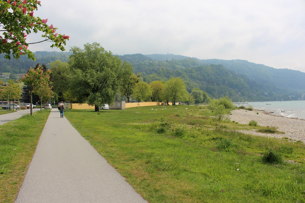 Hochwasserschutz am See C Radweg PROVISORIUM 16-05-2019 _1_.JPG