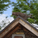 DSC_0005.JPG