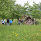 DSC_0017.JPG