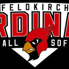 Baseball Saison Eröffnung in Feldkirch 