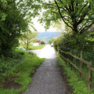 IMG_7245.JPG