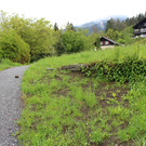 IMG_7246.JPG