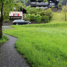 IMG_7251b.JPG