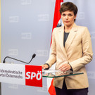 Pressekonferenz nach Praesidium von Pamela Rendi-Wagner - SPOE Klub - 19_05_2019-29.jpg