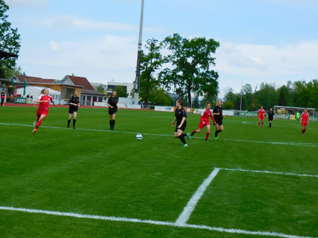 DSCI1457.JPG