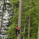 Landjugend_Forstwettkampf 2019_VBG _9_.JPG