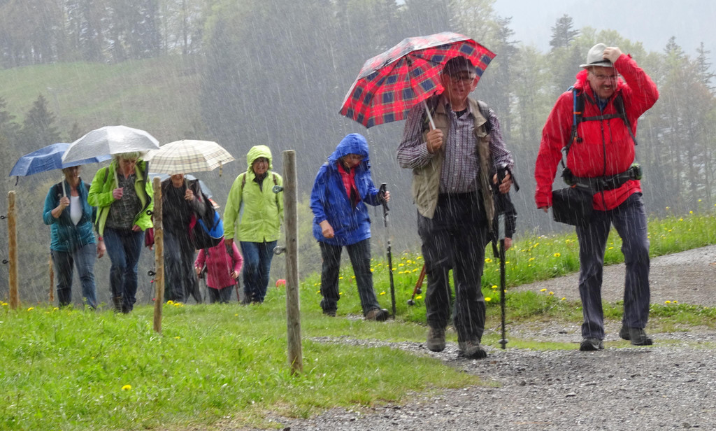 DSC06440 Regenfoto.JPG