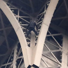 France_Eiffel_Tower_72048.jpg