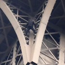 Mann auf Eiffelturm