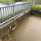 a143.jpg